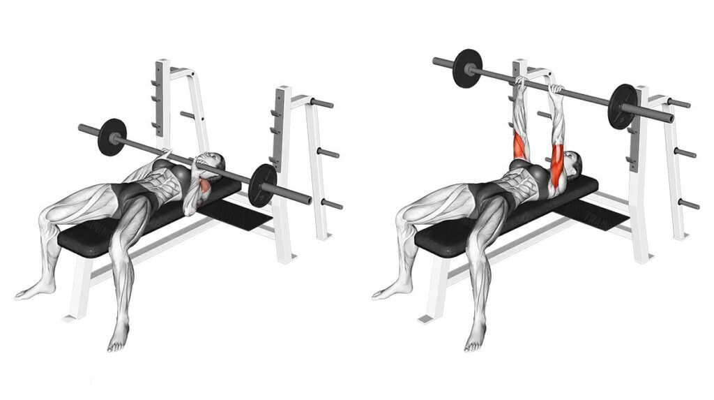 Close Grip Bench Press